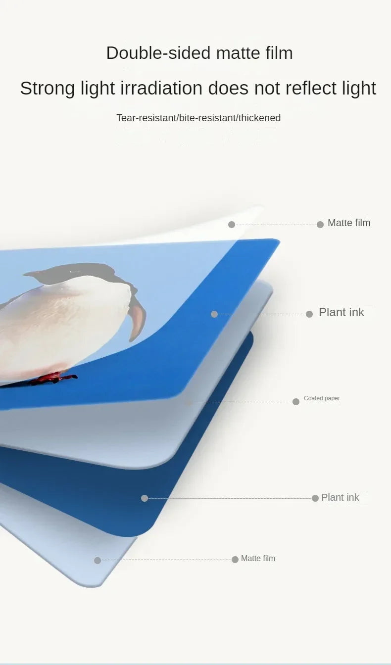 Infant Vision Flash Cards