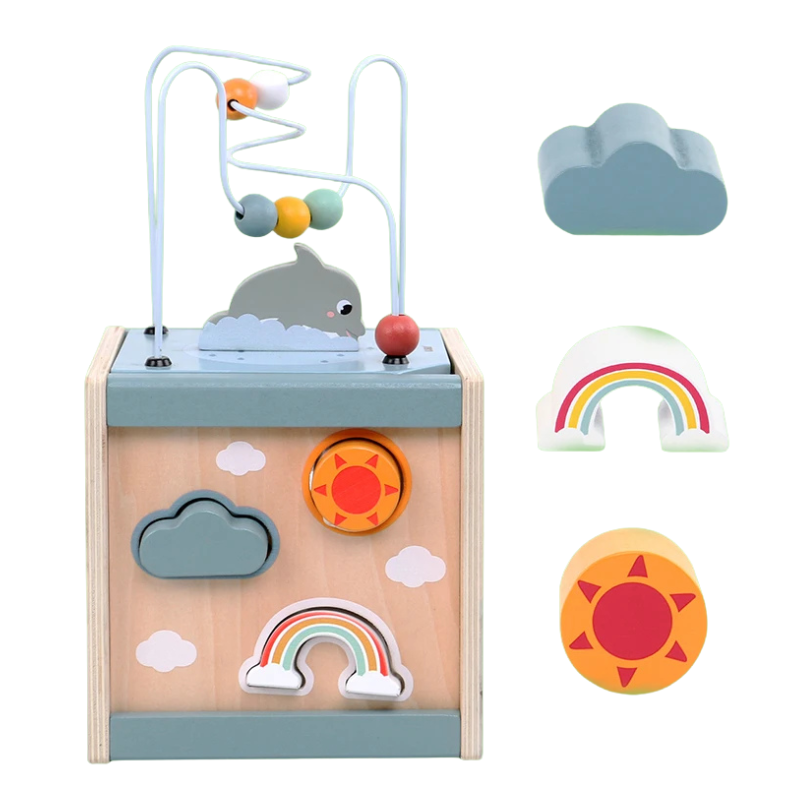 Montessori Wooden Activity Cube