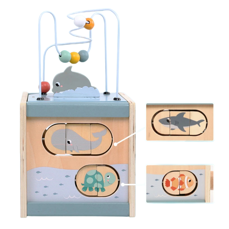 Montessori Wooden Activity Cube